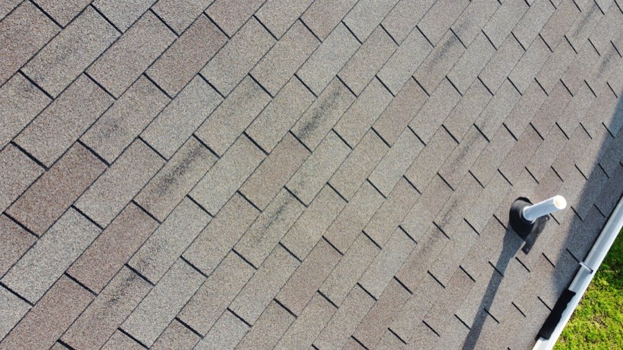 Roof surface and pipe boot inspected from above